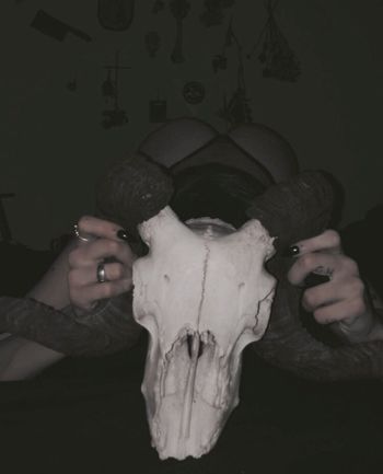 Fleshf1y