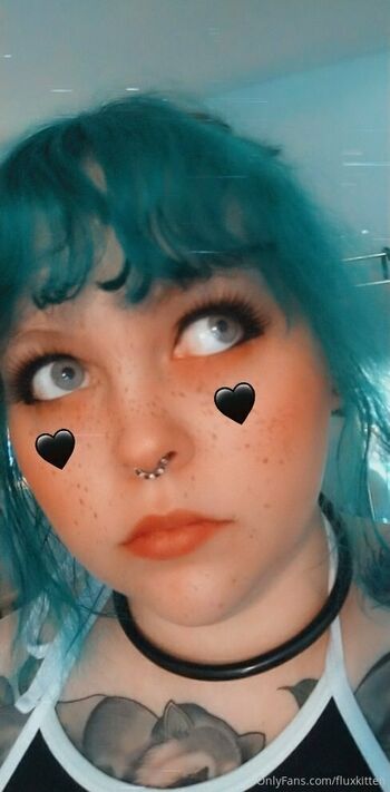 fluxkitten
