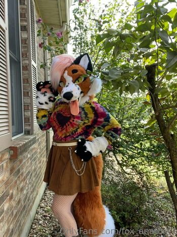 fox_anatomy