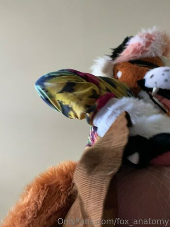 fox_anatomy