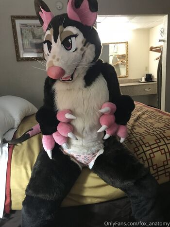 fox_anatomy
