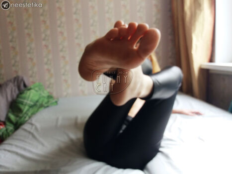 funsnail