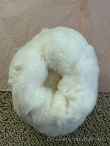 furcoatlove
