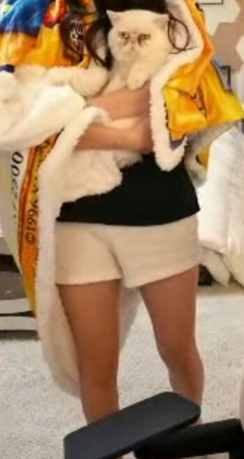 Fuslie