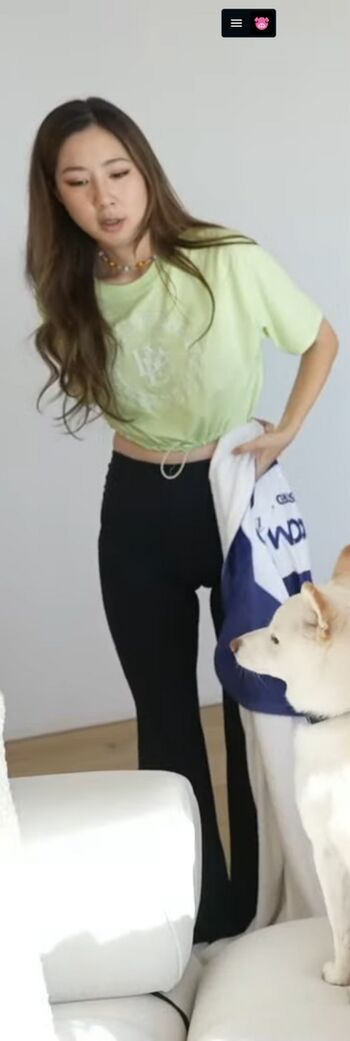 Fuslie