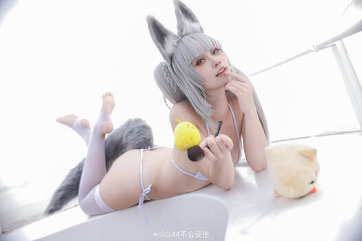 g44gallery