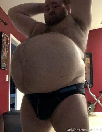 gainerbull