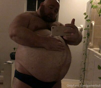 gainerbull