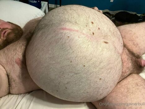 gainerbull