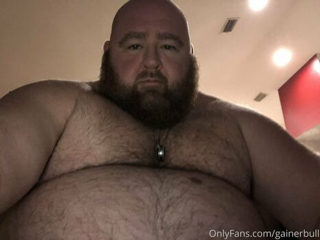 gainerbull
