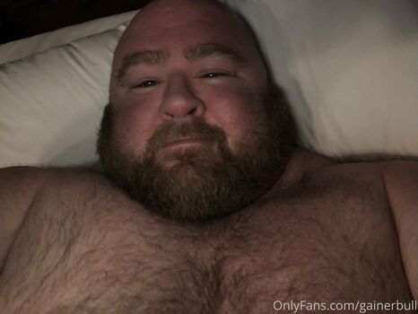 gainerbull