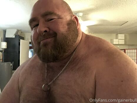 gainerbull