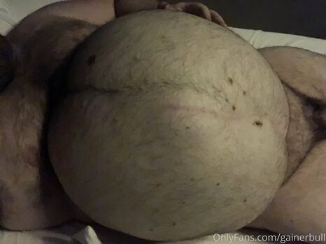 gainerbull