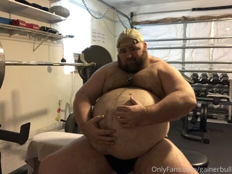 gainerbull