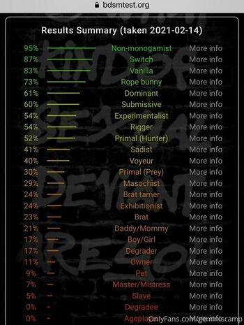geminiscamp