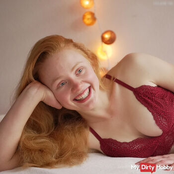 Gingercat-Phine
