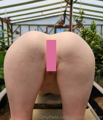 GingerXSpinner