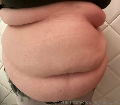 growing_piggy1305
