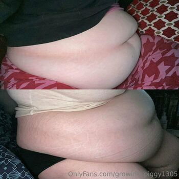 growing_piggy1305