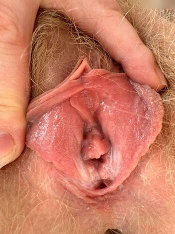 hairyblondie