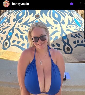 Harley Stein
