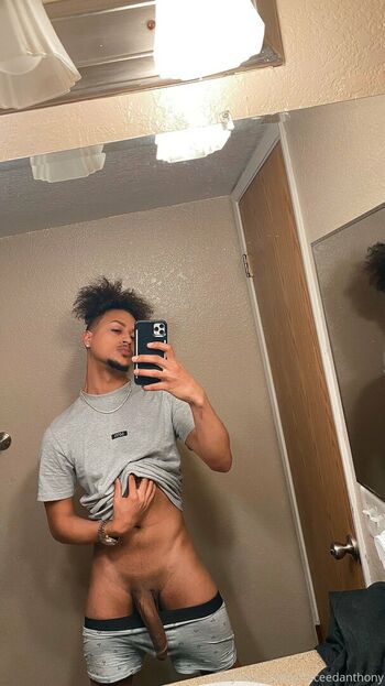 harpermadi_