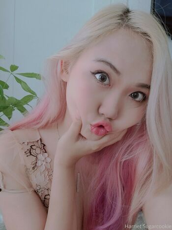 Harriet Sugarcookie