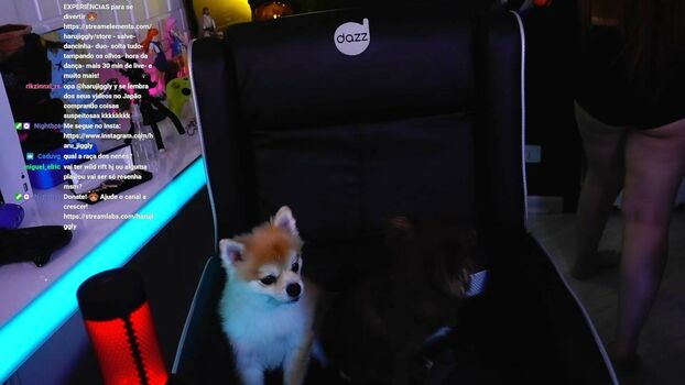 Haru Jiggly