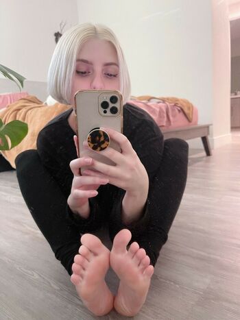 hausofholes