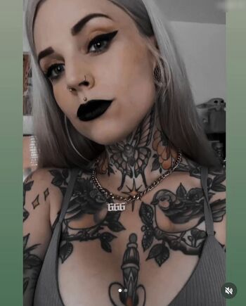 hc_x_owl