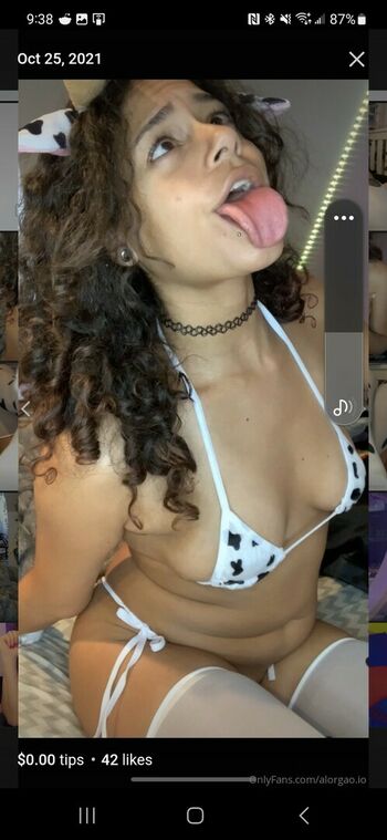 Hellazebra