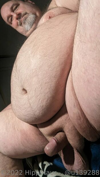 hippotaur