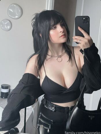 Hiso Neko