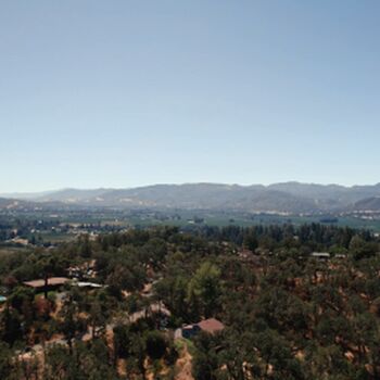 Hollywood Cash