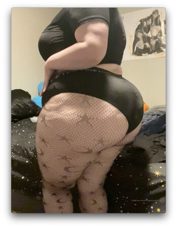 honeybiscuit20