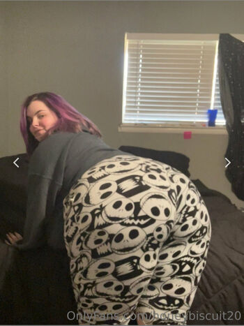 honeybiscuit20