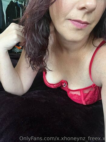 honeynz_free