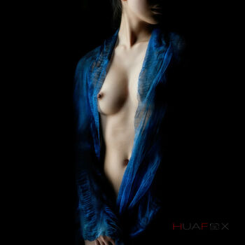 HuaFox