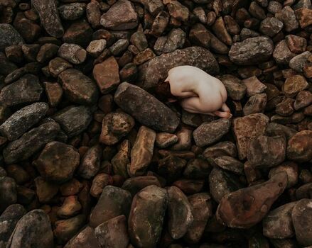 Icelandic Selkie