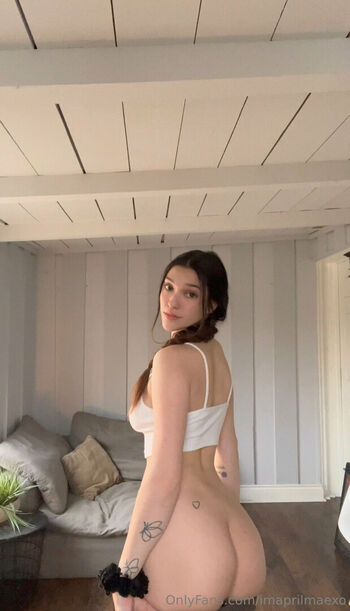 Imaprilmaexo