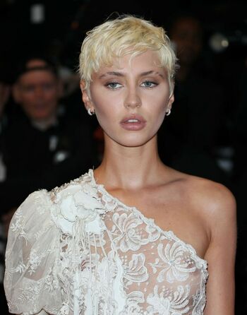 Iris Law