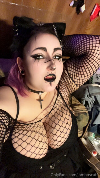 jamboscat1