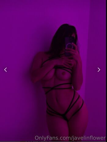 Javelin_Daisy