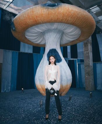 Jennie | BLΛƆKPIИK