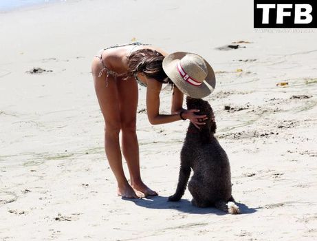 Jordana Brewster