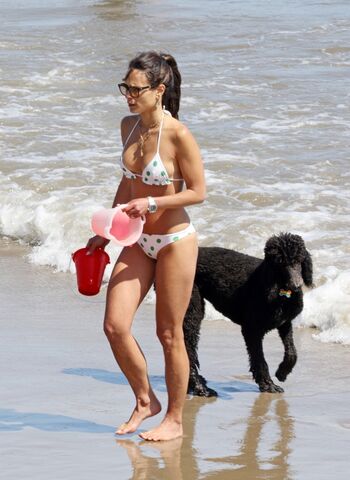 Jordana Brewster