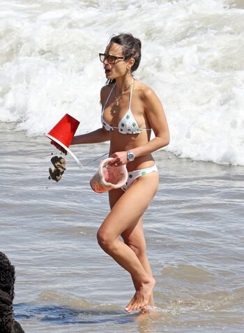 Jordana Brewster
