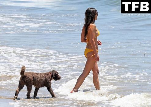 Jordana Brewster