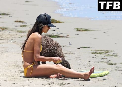 Jordana Brewster