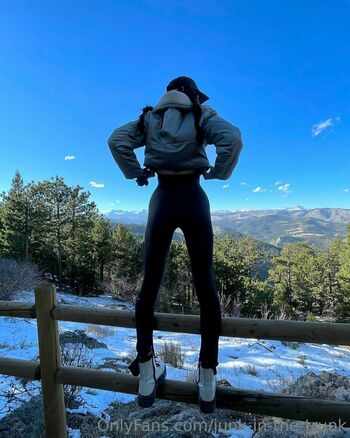 junk-in-the-trunk